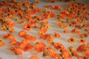 calendula-souci-sechoir