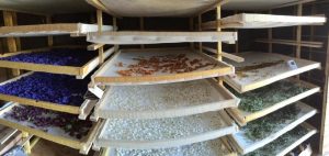 sechoir-vue-panoramique