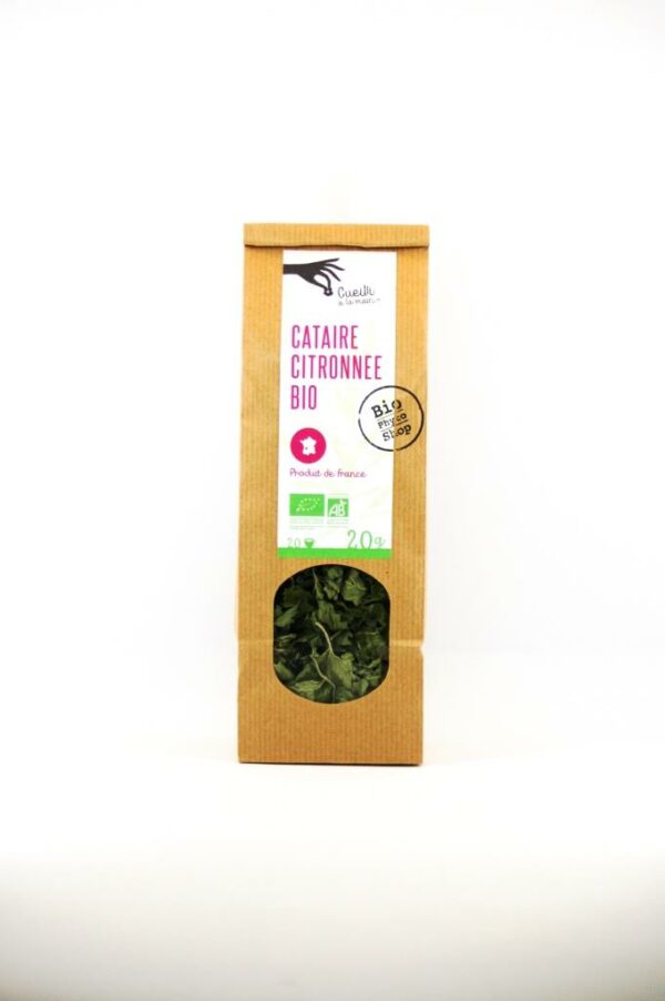 cataire citronnee bio