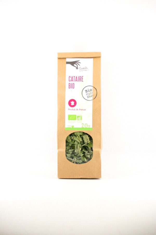 tisane cataire bio